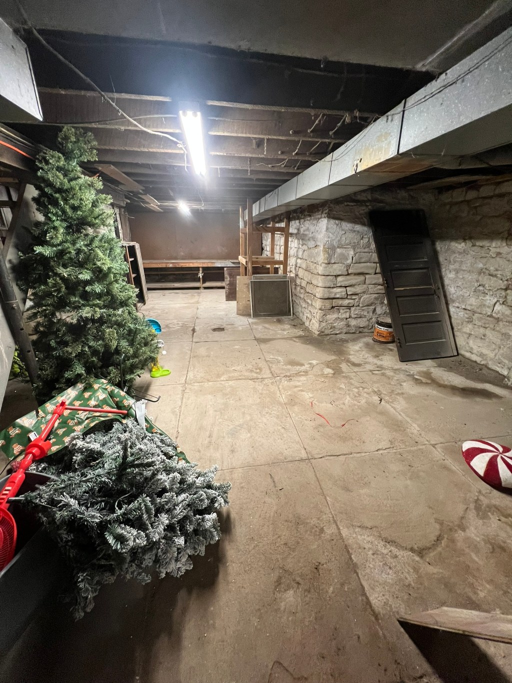 New Basement Lighting
